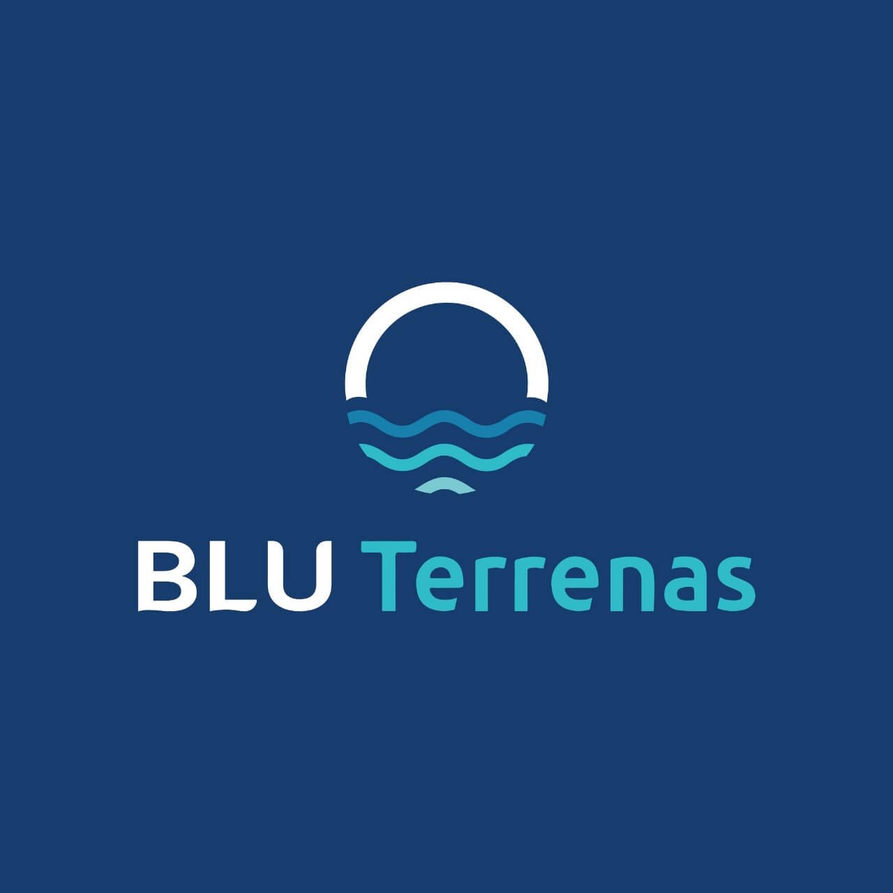 logo blue terrenas